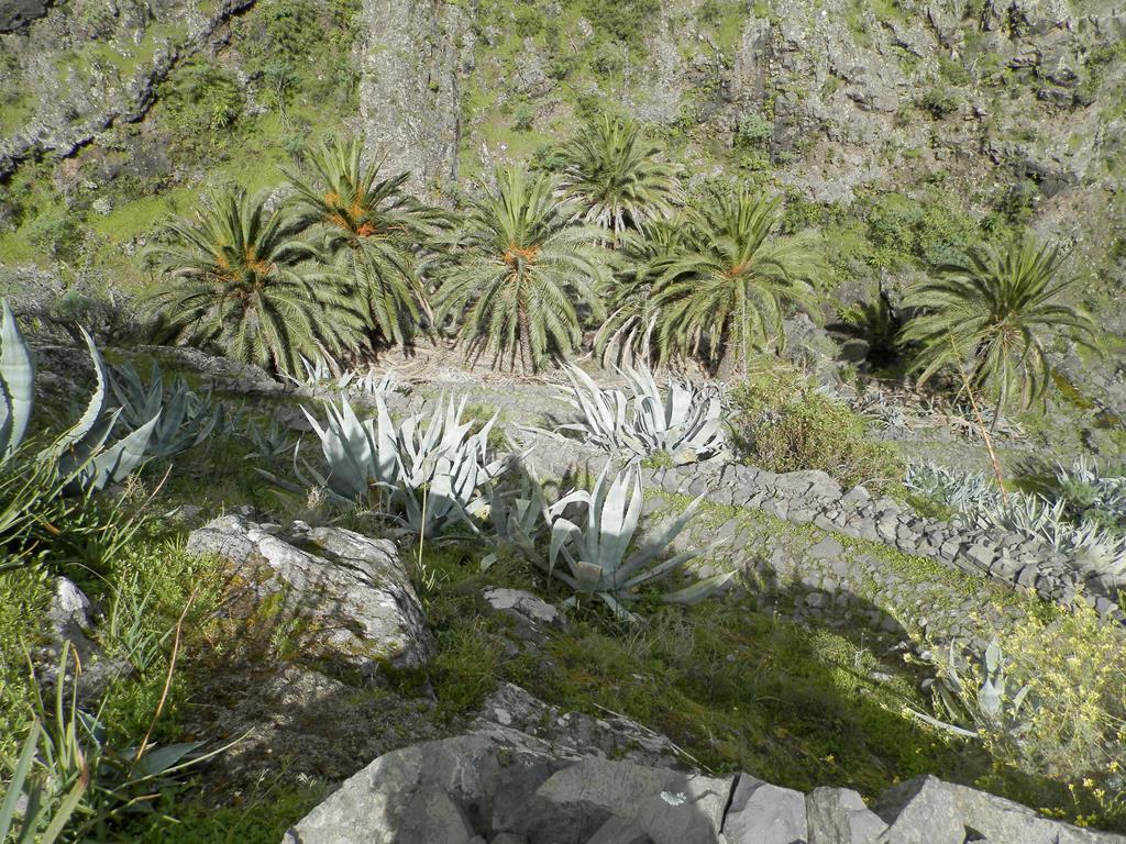 Wandern nach La Laya