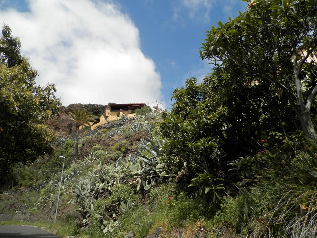 Wandern nach La Laya