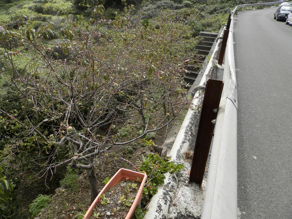 Wanderung vom Rocko de Agando, El Cercado, Hermigua